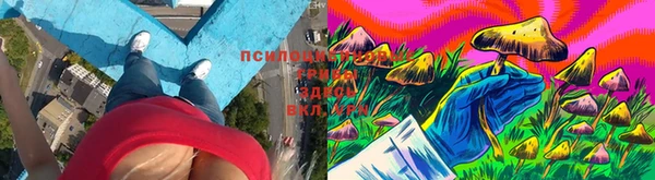 прущие крисы Белокуриха
